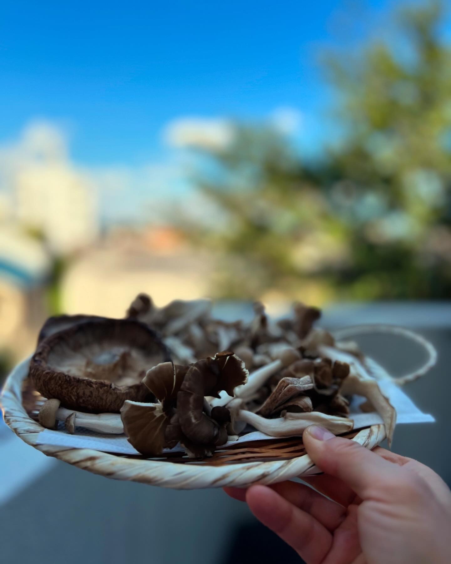 NHKラジオ第1「マイあさ！」出演（半日干しキノコの炊き込みご飯レシピ付き）